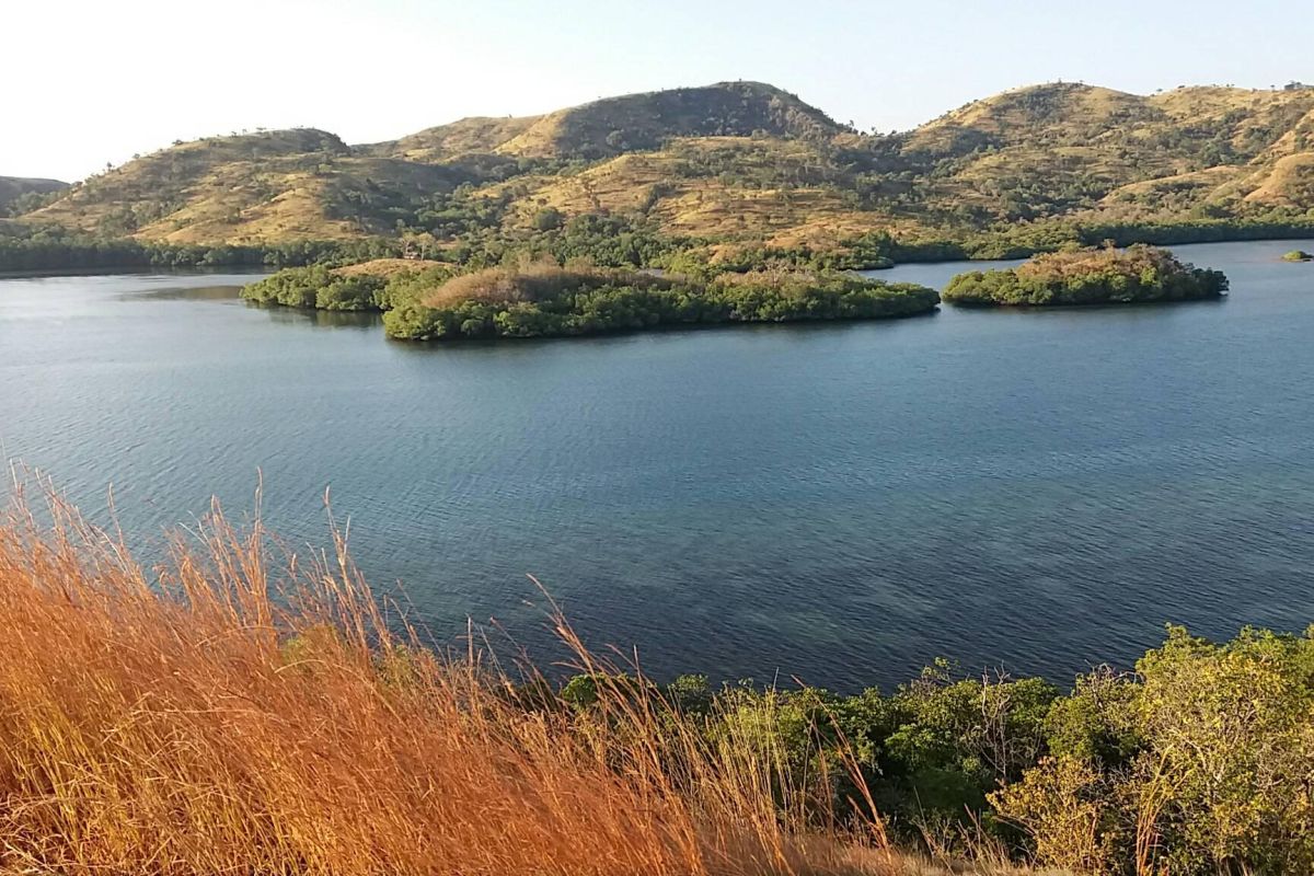 Tiga juta ekor ikan bakal disebar di lima kabupaten NTT