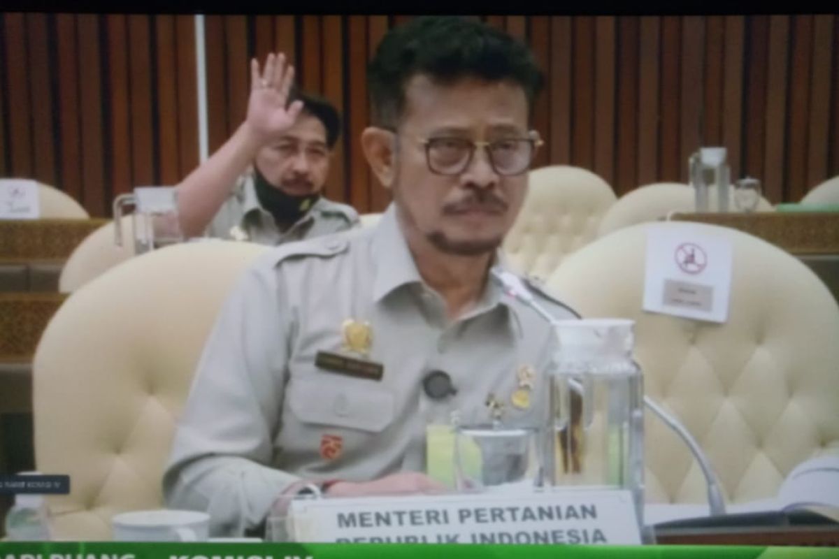 Kementan targetkan padi capai 55,2 juta  ton di 2022