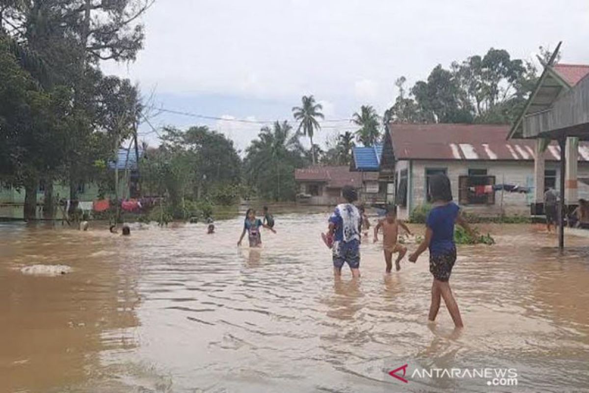 Over 1,000 homes flooded in Central Kalimantan