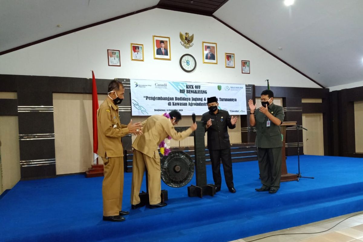 Kanada dan Bappenas dampingi pengembangan jagung di Bengkayang