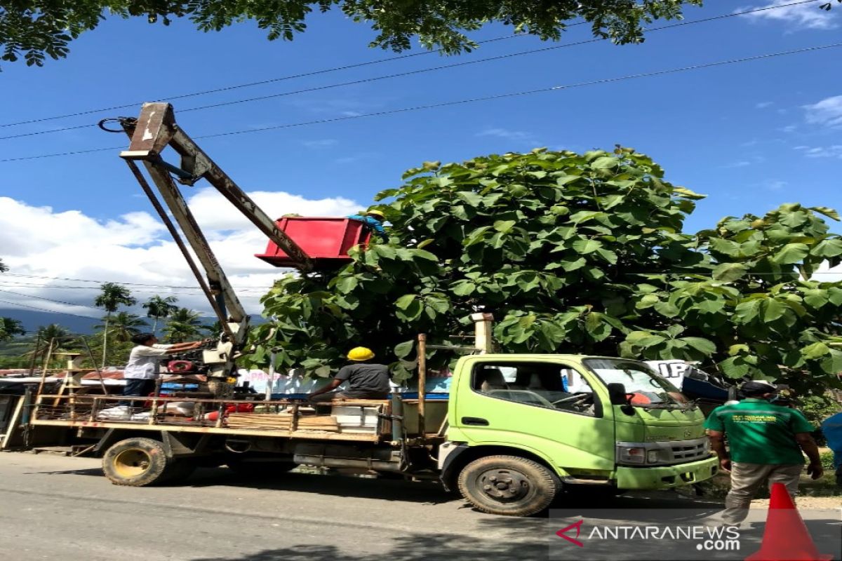 Bekerjasama dengan Pemkab Madina, PLN lakukan pembersihan jaringan