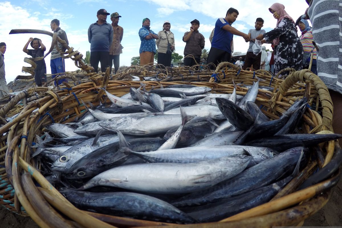 Pengamat: Holding pangan bakal perbaiki kinerja BUMN perikanan