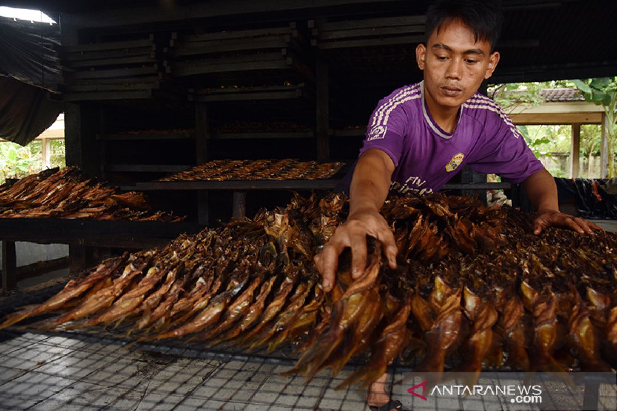 Permintaan ikan salai Koto Masjid Riau tetap tinggi saat pandemi, begini penjelasannya