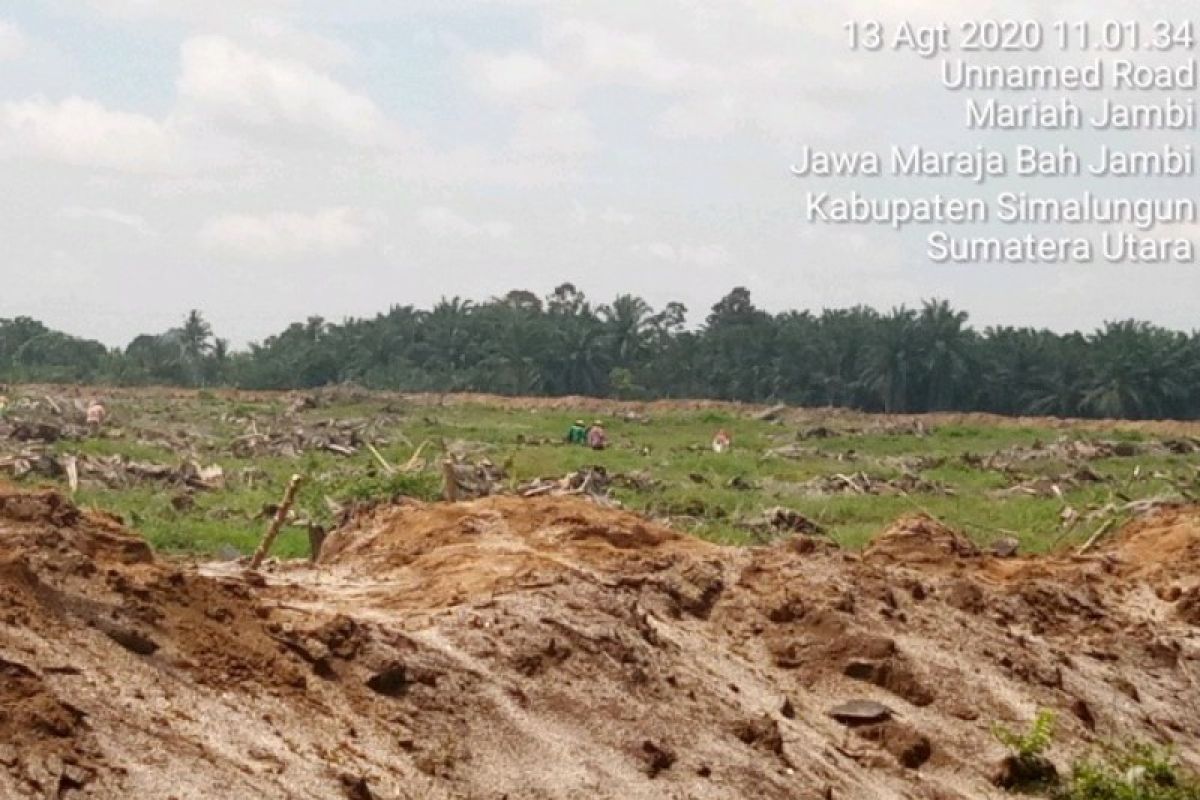 PTPN IV Kebun Bah Jambi kelola lahan HGU