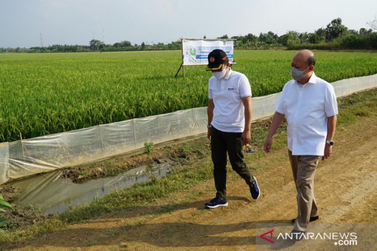 Pupuk Indonesia kembangkan Program Agro Solution sejahterakan petani