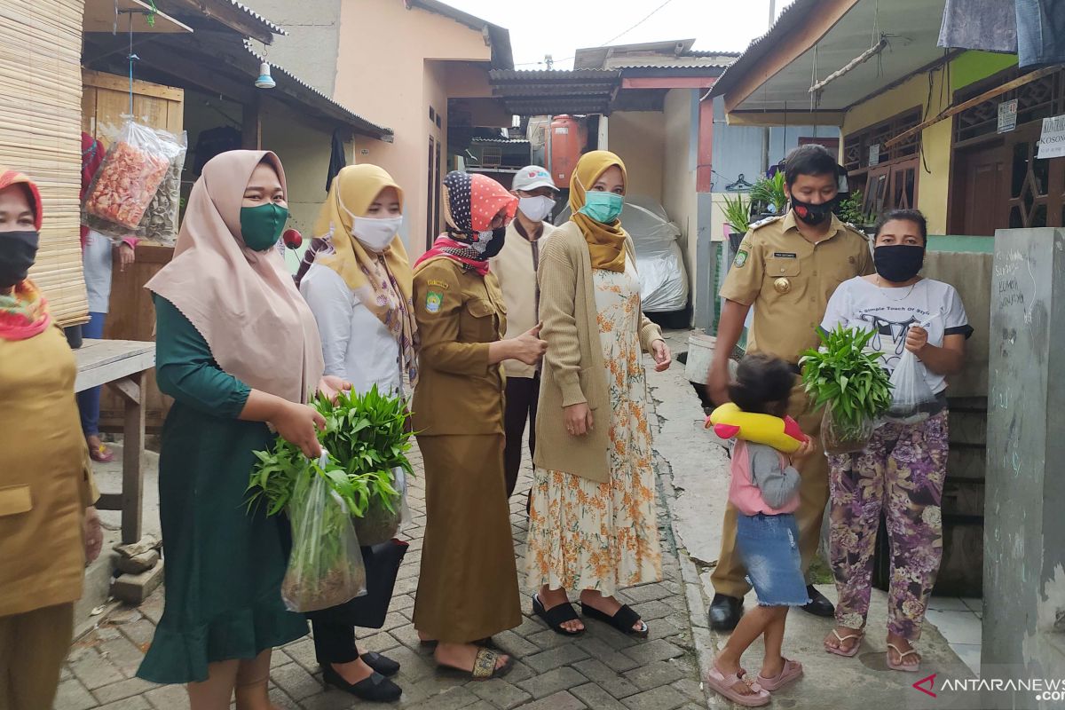 Wali Kota Tangerang apresiasi budidaya pangan di area kantor kelurahan