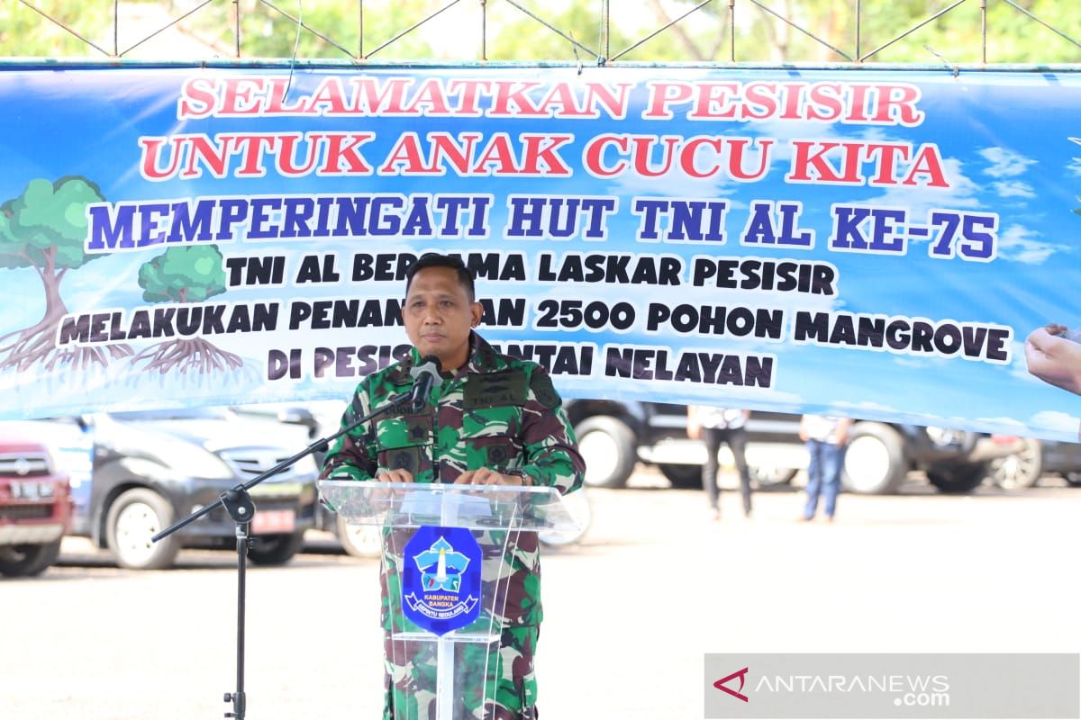 TNI AL Bangka Belitung tanam 2.000 batang mangrove