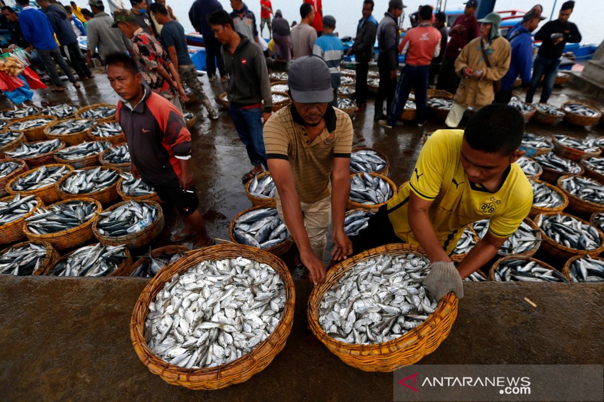 Panglima Laot Aceh imbau nelayan perhatikan cuaca saat melaut