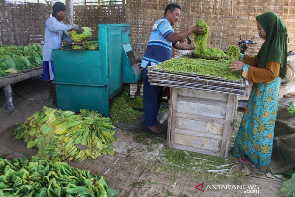 Pengusaha harapkan tarif cukai hasil tembakau tidak naik tahun depan