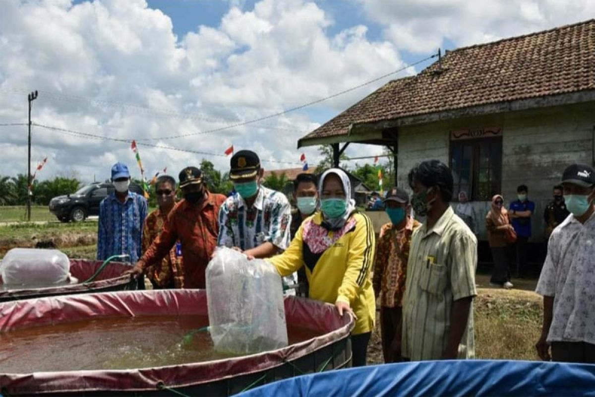 Pemkab Kobar gencar salurkan bantuan program pemberdayaan masyarakat