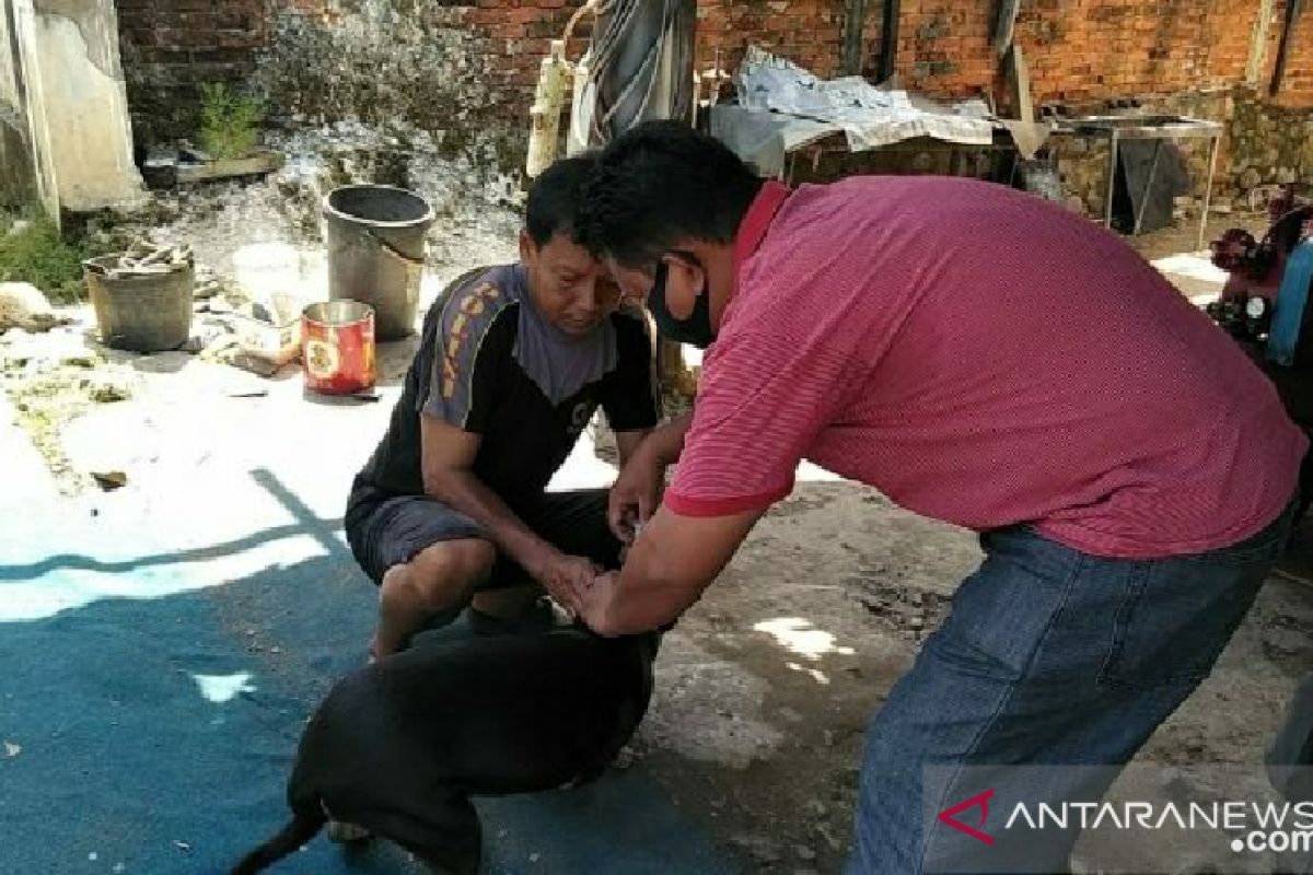 Pemkot Bengkulu berikan vaksin rabies untuk hewan peliharaan