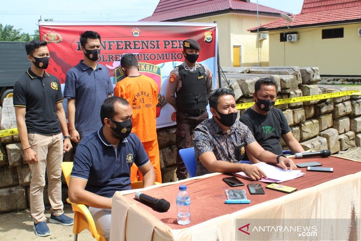 Polisi tangkap pelaku pembalakan liar di Mukomuko