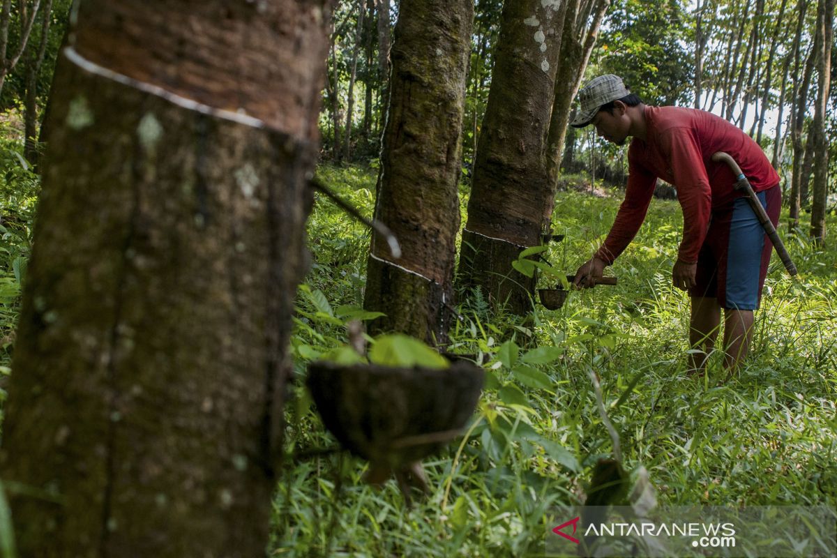 Balai Litbang Kemenperin dukung hilirisasi produk karet alam