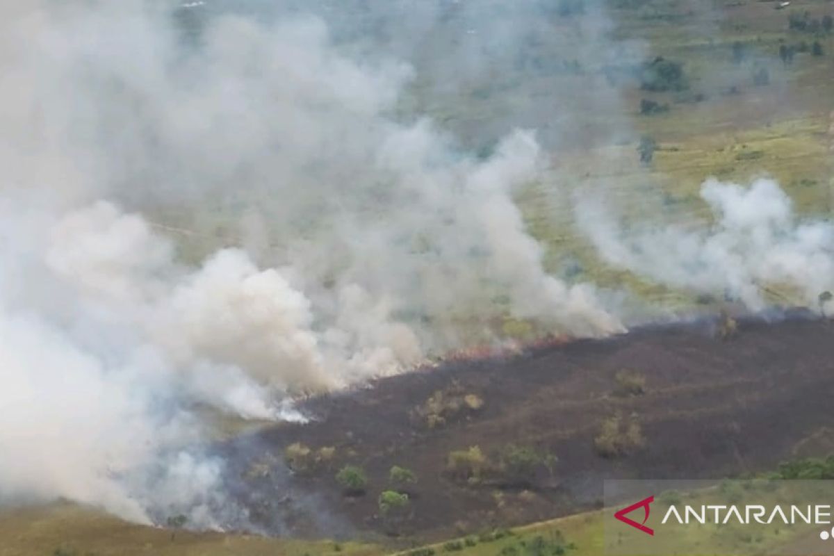 185 titik panas terpantau, karhutla di Kalsel terus meluas