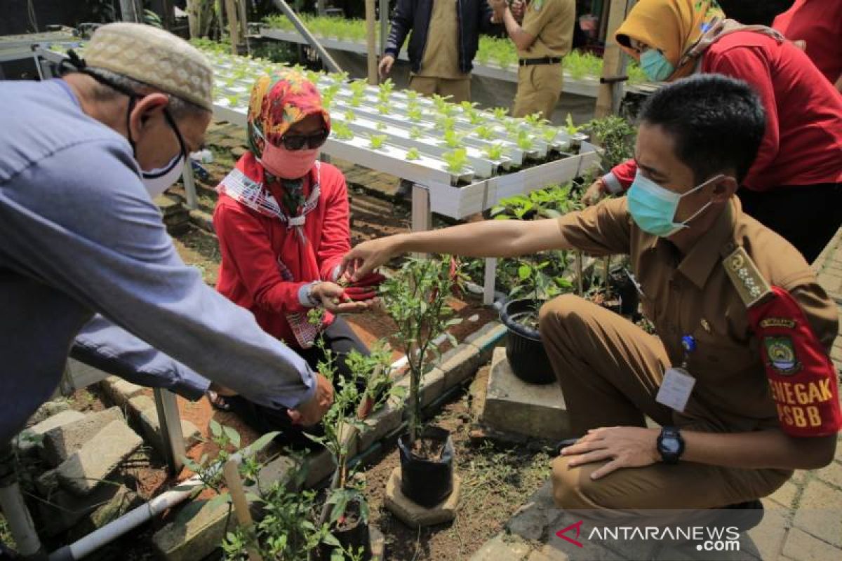 Hasil panenan KWT dibagikan kepada warga Tangerang terdampak COVID-19