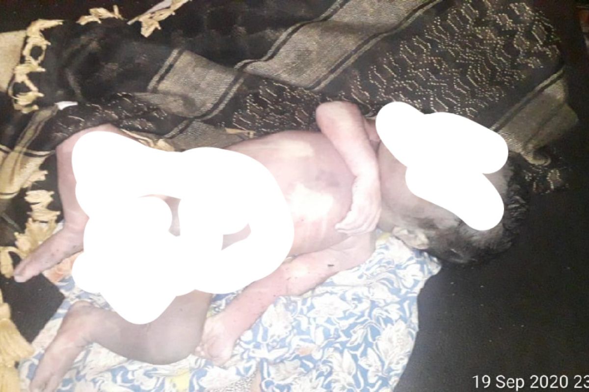 Warga geger! mayat bayi ditemukan terapung terseret 500 meter di Sungai Desa Bujak Loteng
