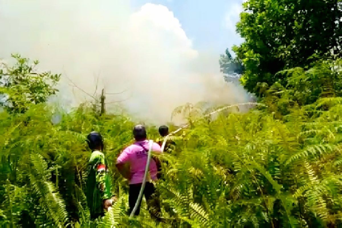 Kebakaran lahan di Kotim mulai meningkat