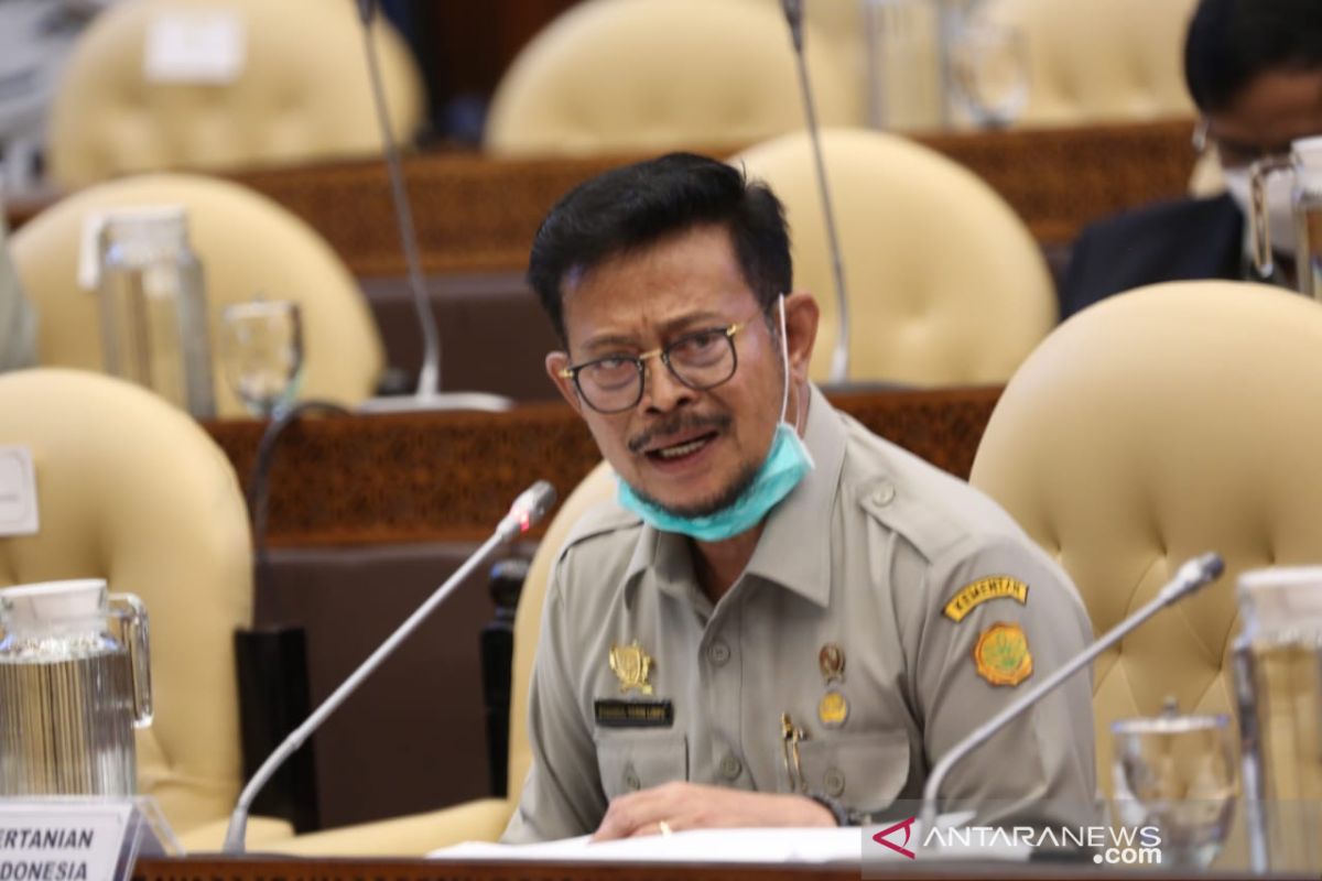 Komisi IV DPR setujui pagu anggaran Kementan Rp21,83 triliun untuk 2021