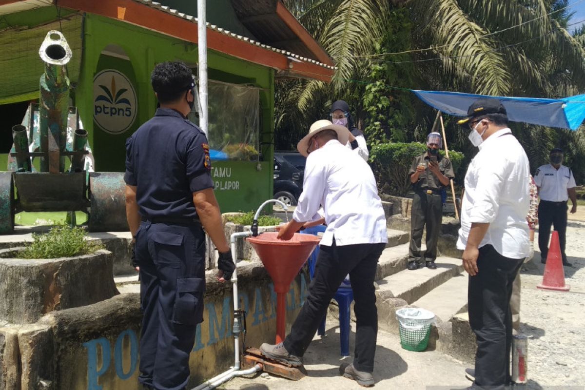 Memutus Covid di tengah perkebunan sawit