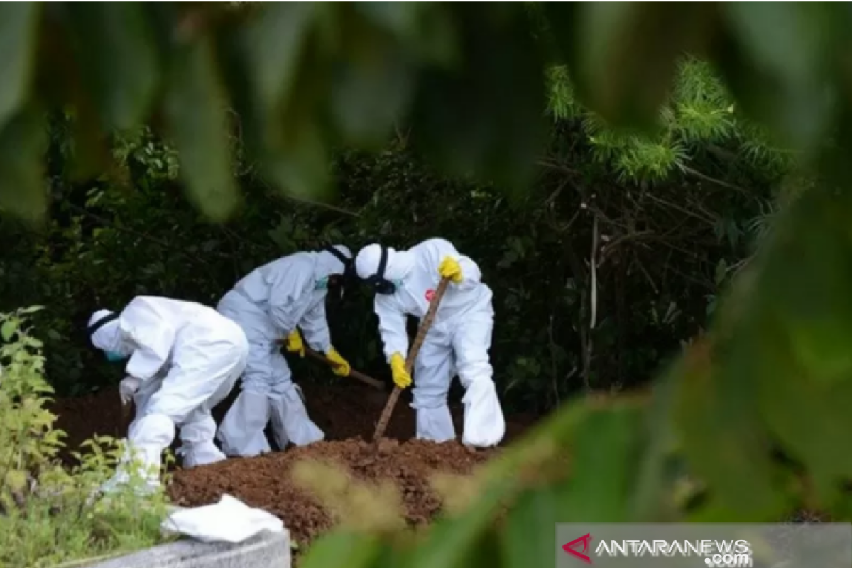 Pasien meninggal akibat COVID-19 di Sultra bertambah jadi 50 orang