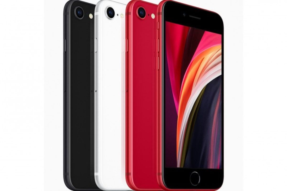 Ponsel iPhone SE 2020 akan masuk Indonesia pada Oktober