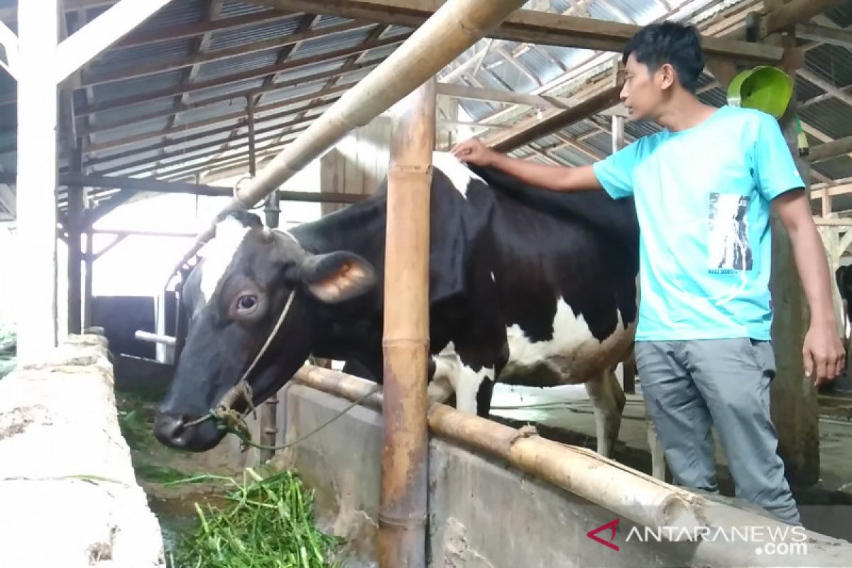 Pemkot Padang Panjang akan bagikan susu segar untuk 1.881 santri