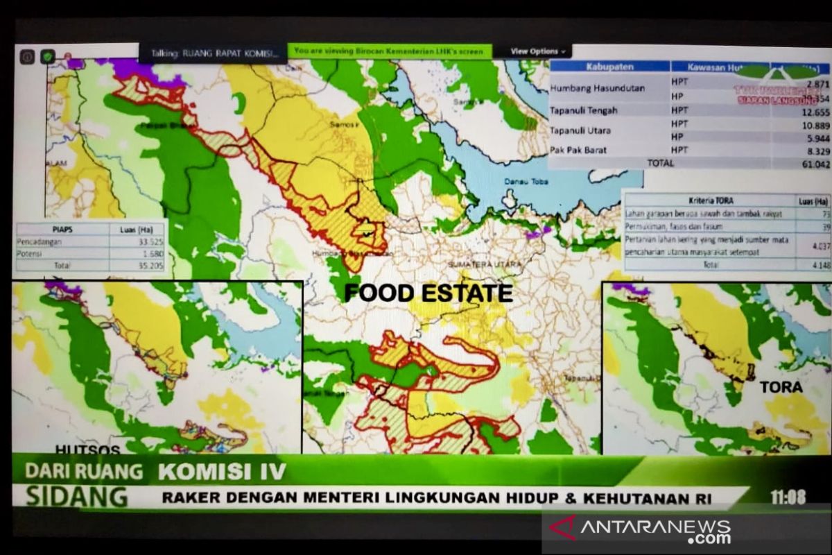 Menteri KLHK: KLHS "food estate" juga disiapkan di Papua dan Sumsel