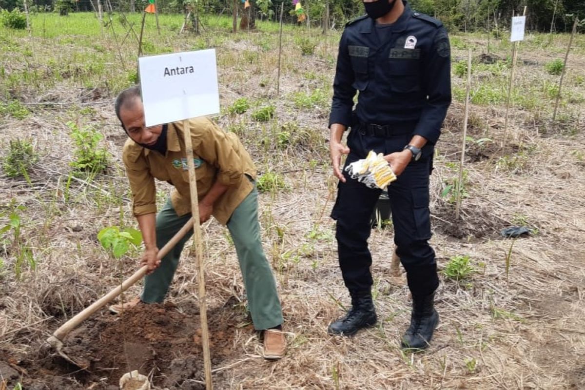 ANTARA dan media massa lainnya diharap kampanyekan penyelamatan badak sumatera