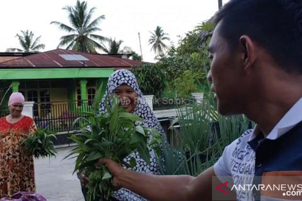 Tagana Kota Solok berbagi hasil panen, sayuran hidroponik