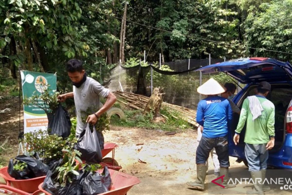 Dishut Jambi bagikan 200 bibit tanaman gratis untuk warga Jambi