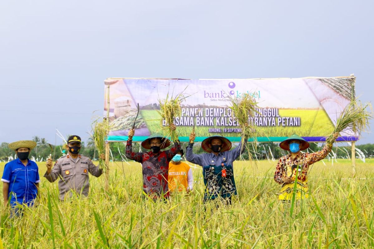 Bank Kalsel dukung petani Tala  melalui kemudahan akses KUR