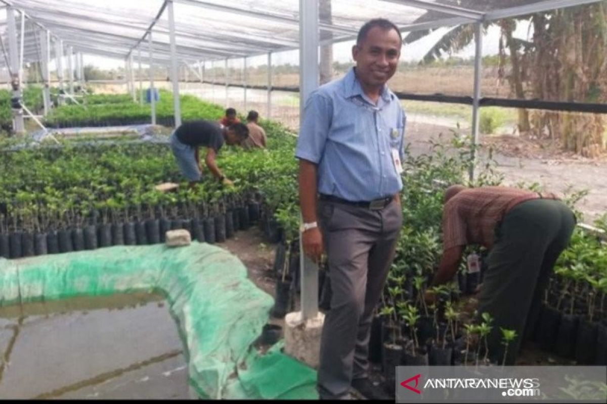 Peneliti: Sumba Tengah potensial jadi lokasi "food estate"