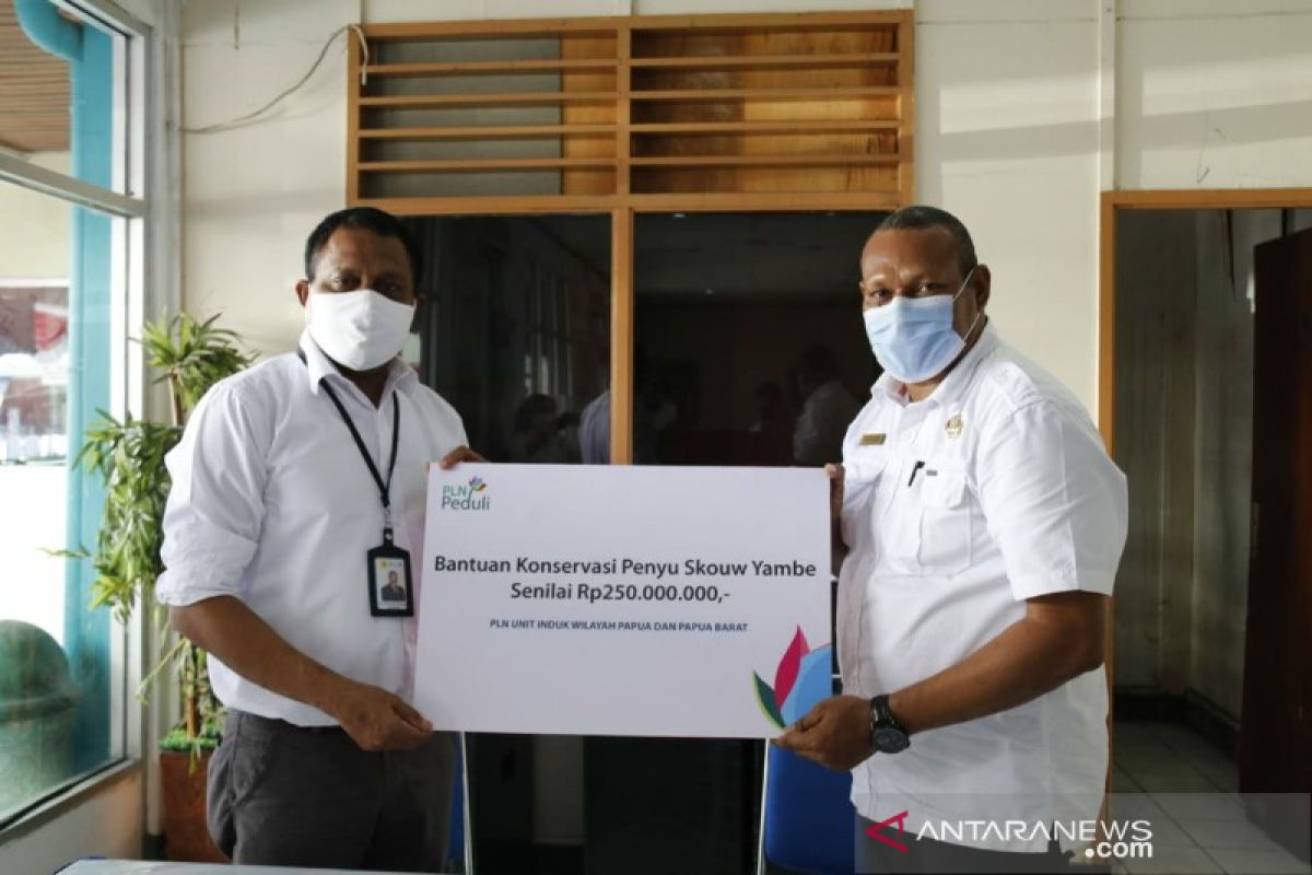 PLN Papua serahkan bantuan CSR program konservasi penyu Skouw Yambe Jayapura