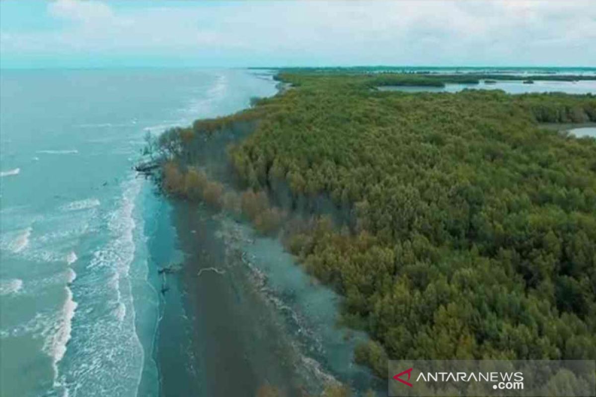 Kembalinya kampung abrasi ke permukaan