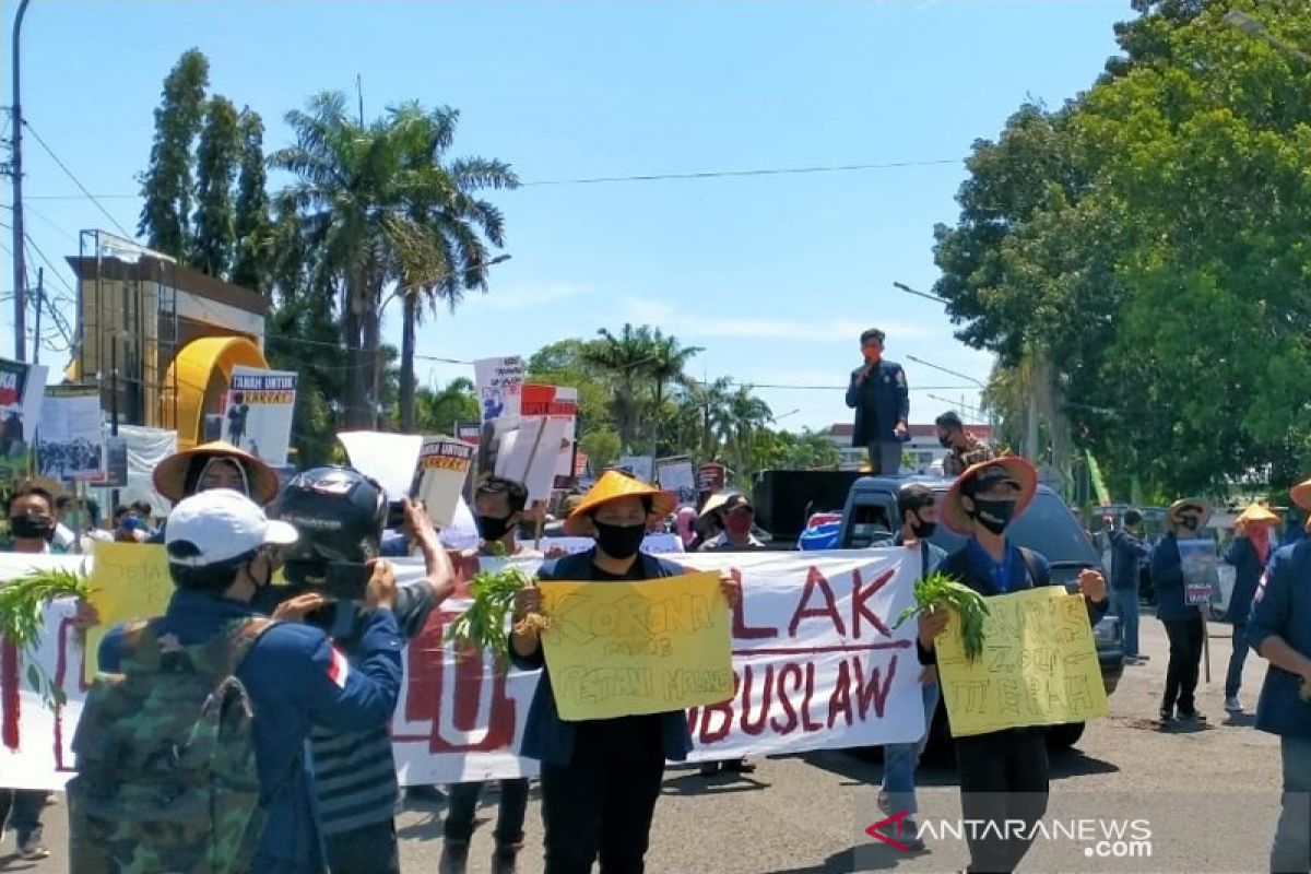 Hari Tani, aktivis dan petani Bengkulu serukan tolak Omnibus Law