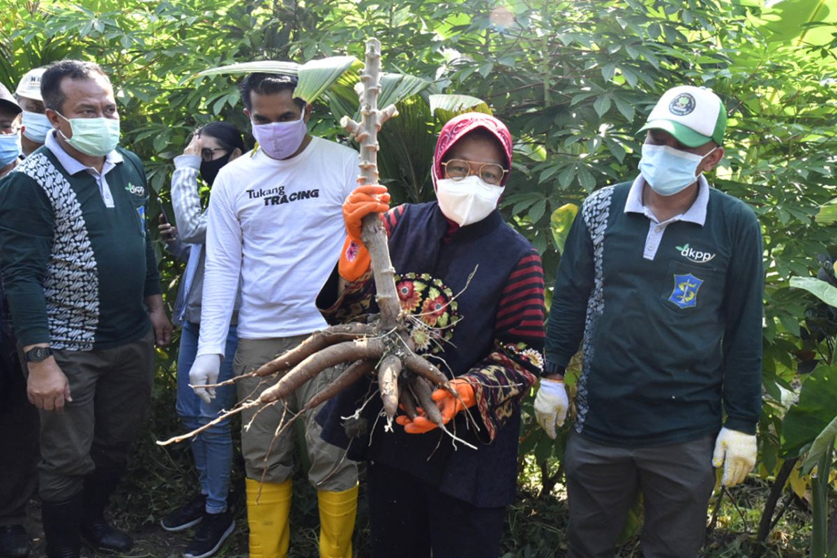 Jurus Wali Kota Risma hadang resesi ekonomi di tengah pandemi COVID-19