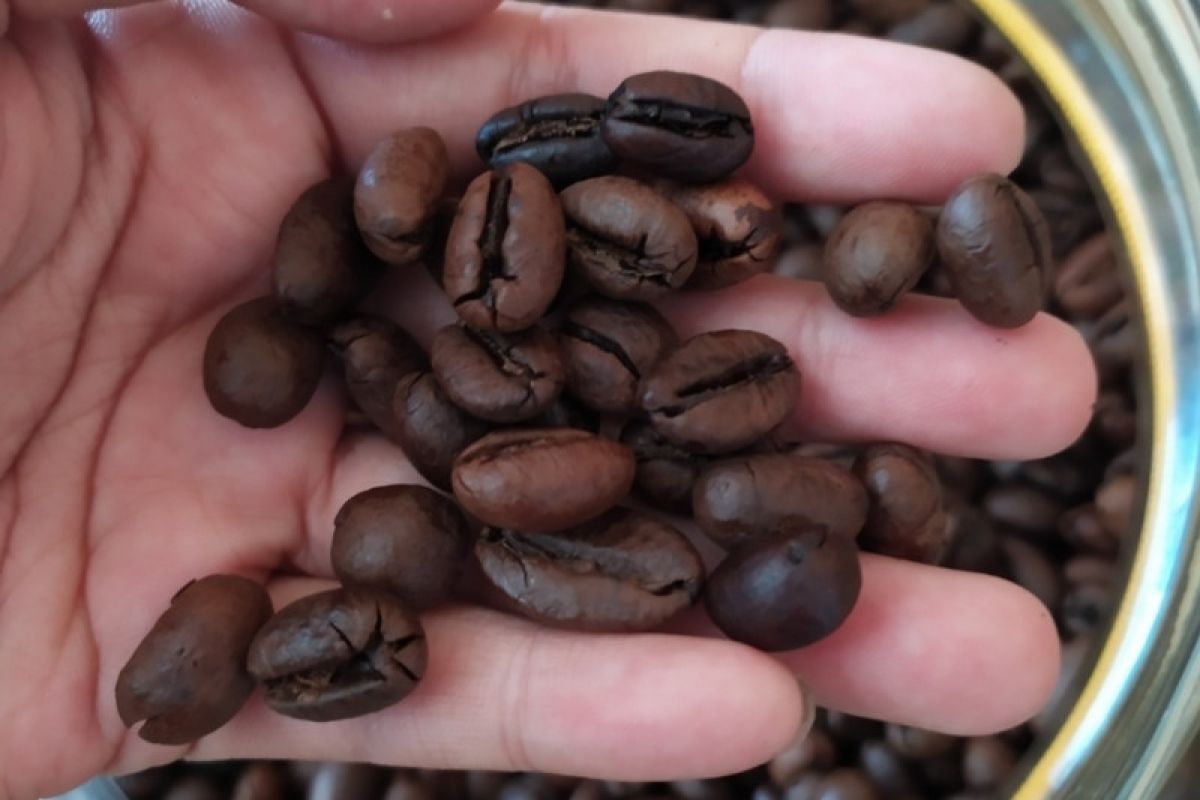 Pemohon layanan uji mutu kopi di Jawa Barat meningkat