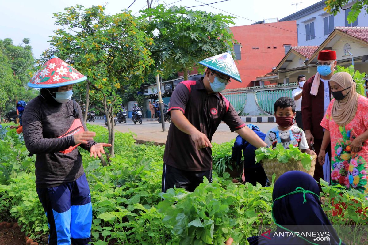 Wali Kota Arief  panen sayuran bersama warga di Ecofarm Mekarsari