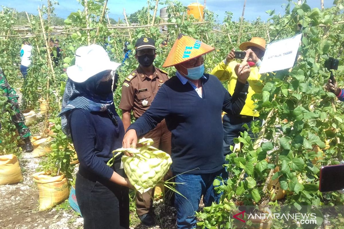 Bupati Malra : Hasil Ve'e Kes Yang bukti pemerintah hadir bagi warga