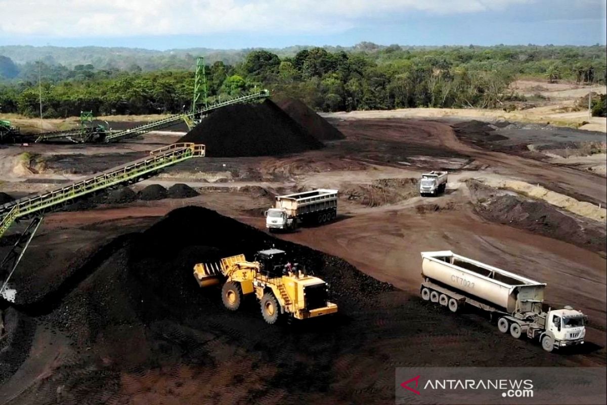 PT Mifa Bersaudara jajaki pemanfaatan pupuk batu bara sebagai pupuk organik pertanian di Aceh
