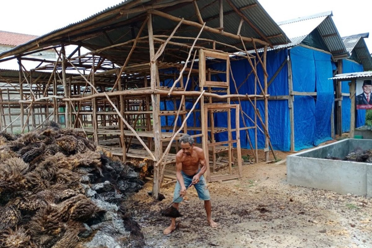 Petani Mesuji pilih budi daya jamur merang di tengah pandemi