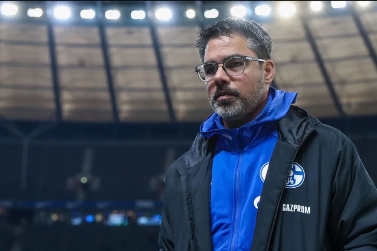 Schalke 04 resmi PHK David Wagner