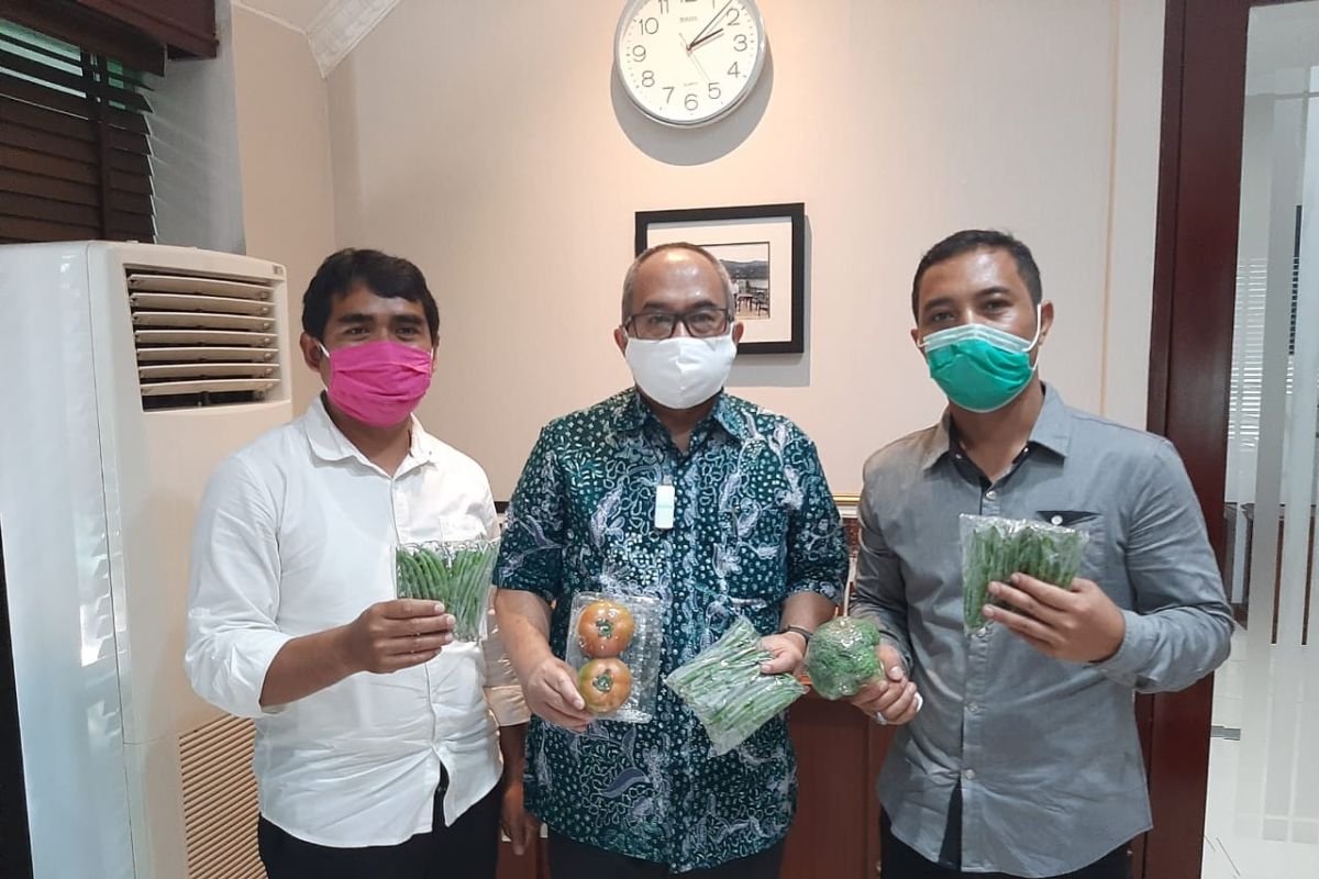 Petani Lembang temui Dubes RI, jajaki ekspor sayuran ke Singapura
