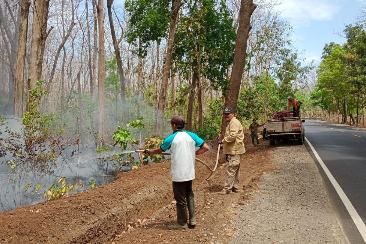 Brigdalkarhutla padamkan api di Taman Nasional Baluran dan Berau