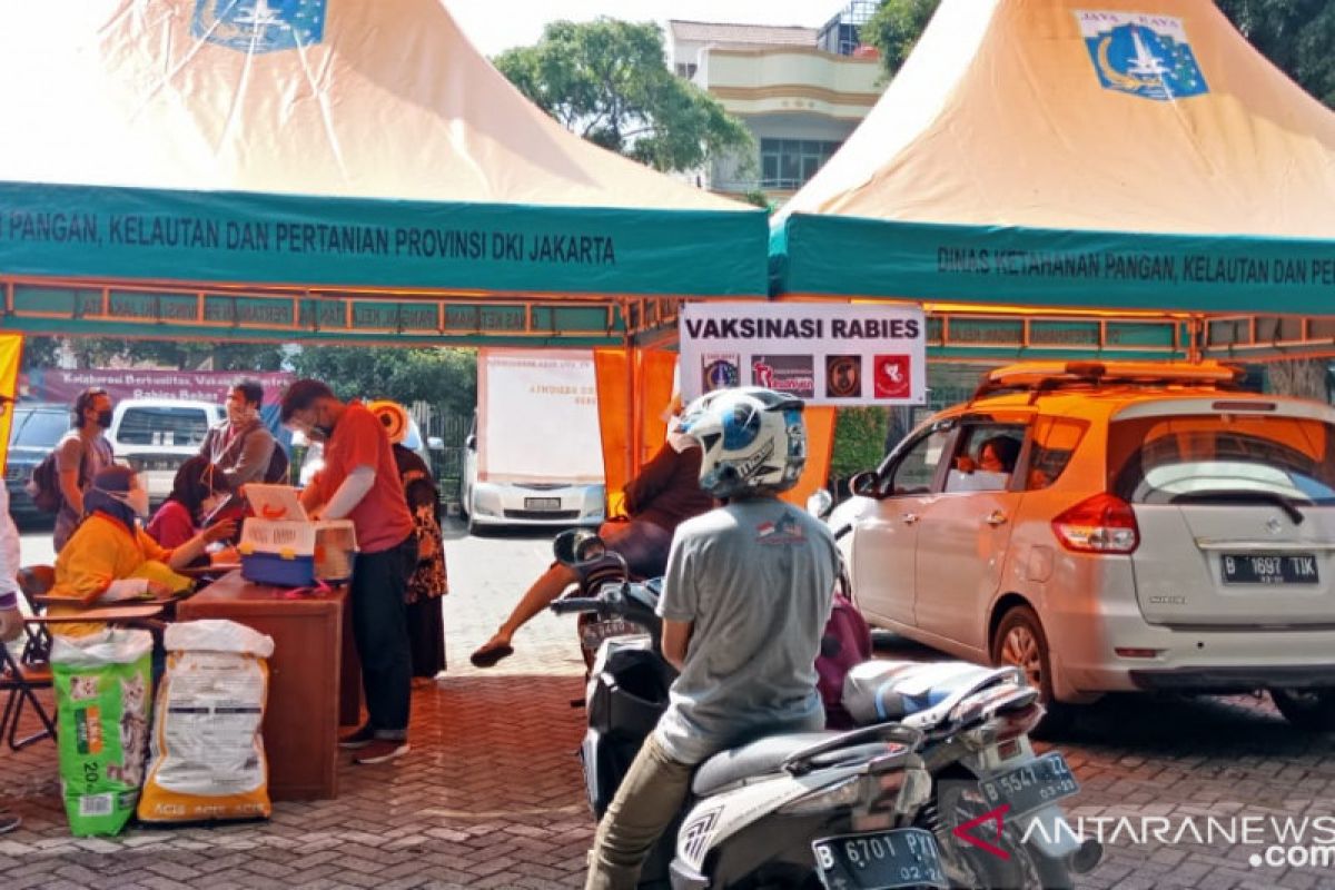 Dinas KPKP DKI gelar vaksinasi rabies gratis