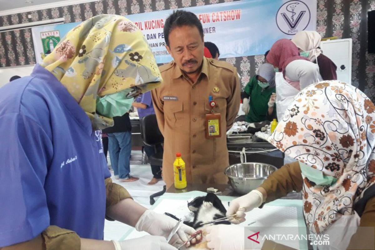 Distan Banten dukung program Indonesia bebas rabies 2030