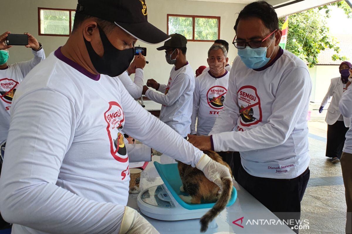 Jawa Tengah sediakan 8.000 vaksin antisipasi rabies