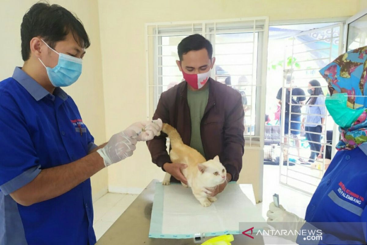 Pemkot Palembang siapkan  ribuan vaksin rabies gratis