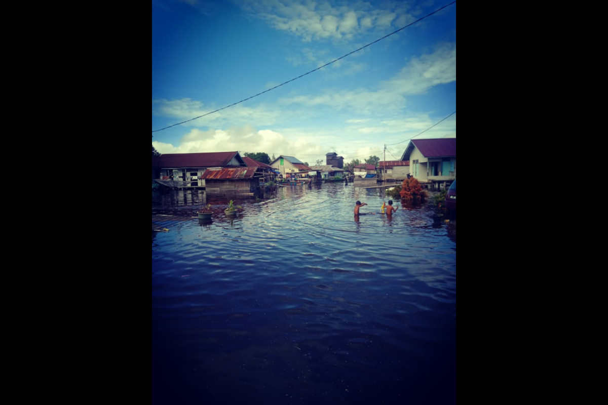 Danau Sentarum meluap sejumlah desa di perbatasan terendam banjir