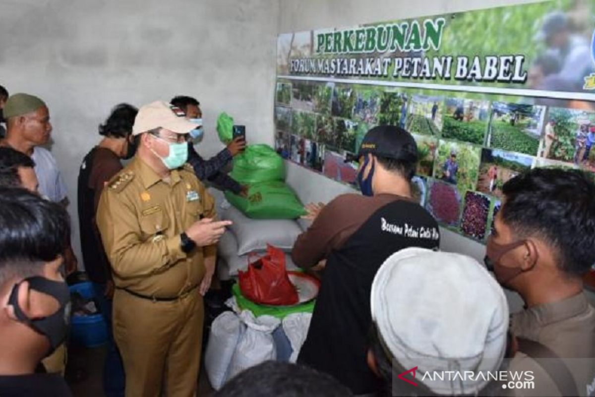 Gubernur Babel resmikan rumah produksi kopi geddong